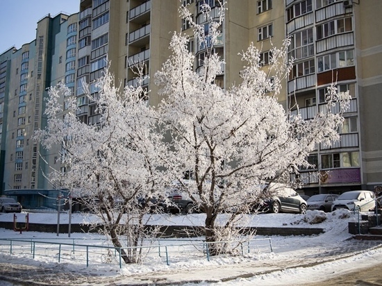 Мороз -17 и солнечная погода ожидаются в Новосибирске в воскресенье, 18 декабря