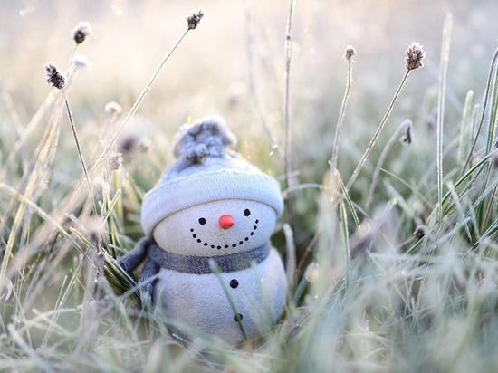 Синоптики рассказали смолянам о погоде на Варварин день