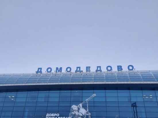 Грузчики аэропорта Домодедово подозреваются в краже у пассажирки более полумиллиона рублей