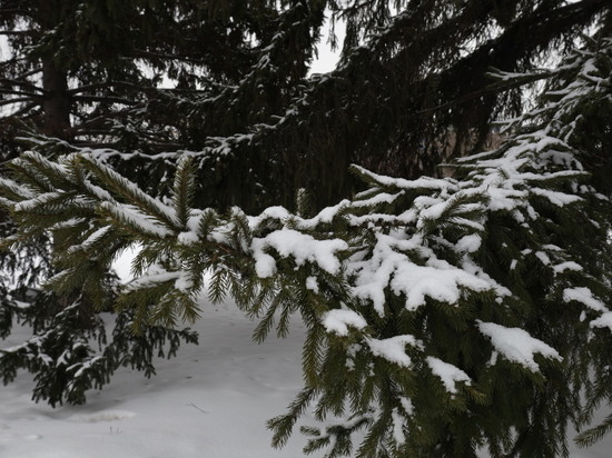Ясная погода без осадков ожидается 17 декабря в Томске