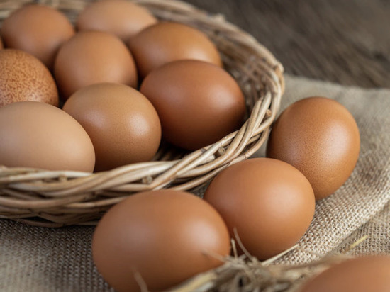 В Липецкой области увеличилось производство яиц