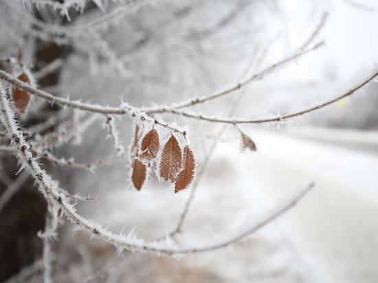 17 декабря в Астрахани ожидается теплая для зимы погода