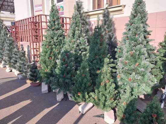 В Кисловодске отказались от живых елок на Новый год