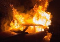 Три автомобиля – ЗиЛ, Toyota Town Ace и Toyota Camry – полностью сгорели в гараже в селе Шелопугино