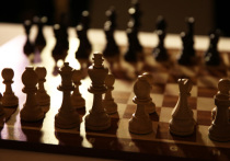 Делегаты съезда Федерации шахмат России (ФШР) работу организации за четыре  года единогласно признали удовлетворительной
