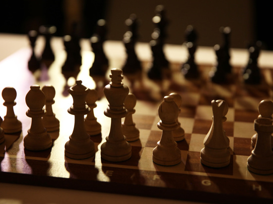 Работу Федерации шахмат России  признали удовлетворительной