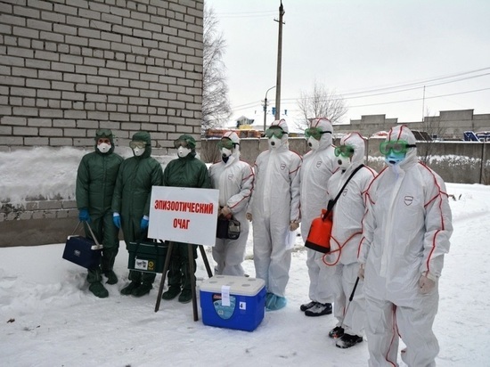 В Архангельске ветеринары Росгвардии приняли участие в командно-штабном учении