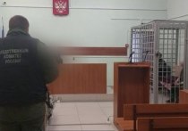 Пенсионерку из Богородицка, обвиняемую в совершении убийства, заключили под стражу