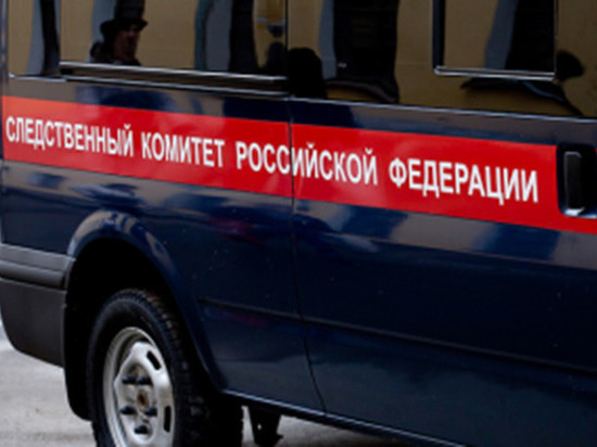 В Воронеже Следственный комитет инициировал проверку по факту избиения ребенка в школе