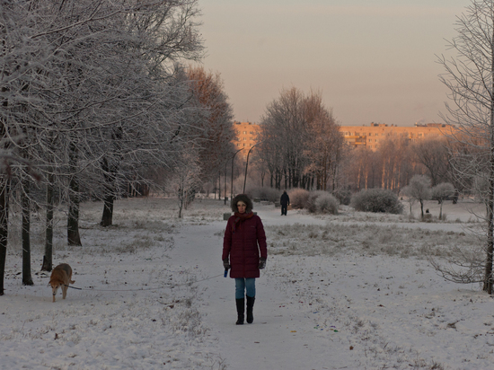 Морозы до -17 градусов придут в Новгородскую область в ночь на 18 декабря