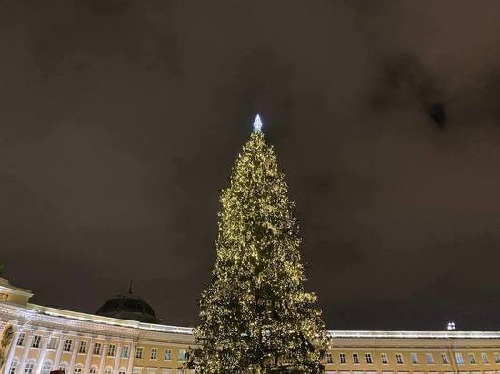 Петербуржцы с 19 декабря смогут отправлять новогодние открытки прямо с Дворцовой