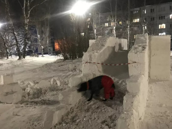 Собаки и дети портят еще не достроенные снежные городки в Бийске