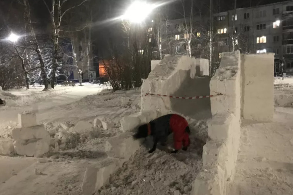 Собаки бийск