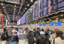 Ночной снегопад в Москве вызвал массовые задержки или отмены рейсов в аэропортах Москвы