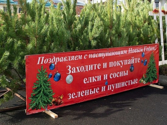 «Новогодний базар» в Ставрополе продлится два дня