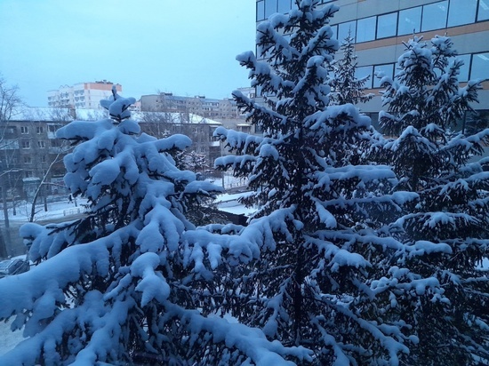 До - 12 градусов потеплеет в Томске 19 декабря