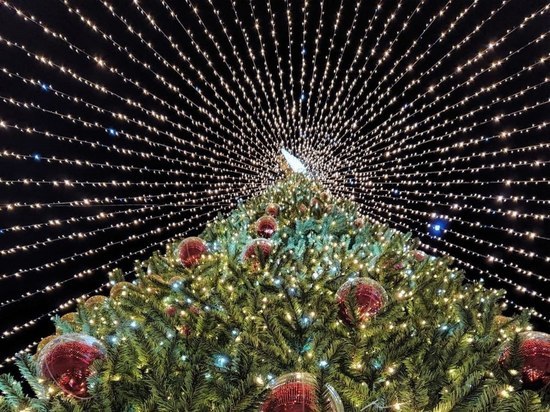 Где в Рязани встретить Новый год: основные локации праздника