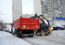 Заместитель мэра Москвы Петр Бирюков сообщил в воскресенье, что сейчас в уборке города от снега задействовано 12,5 тыс.
 единиц техники
