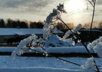 На территории Тульской области 19 декабря ожидается переменная облачность и небольшой снег