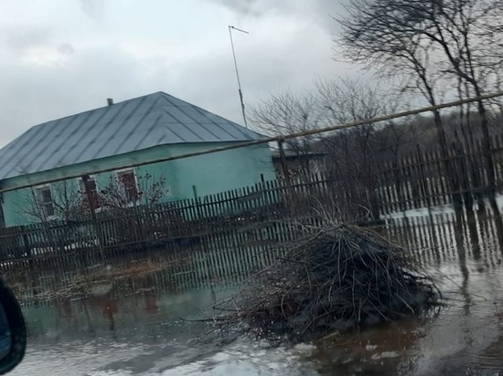 Дома и огороды жителей одной из деревень Липецкой области тонут в воде