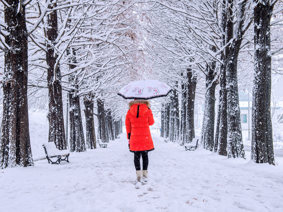 Метеопредупреждение в Кировской области: снегопад и ледяной дождь на ближайшие сутки