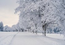 Морозы покидают Алтайский край