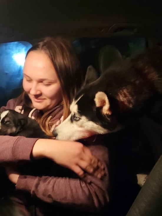 В Переславле волонтеры спасли голодающий домашний зоопарк