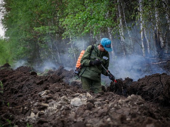 Количество лесных пожаров в Якутии уменьшилось в три раза