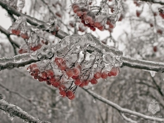 Синоптики рассказали о погоде на 19 декабря в Оренбуржье
