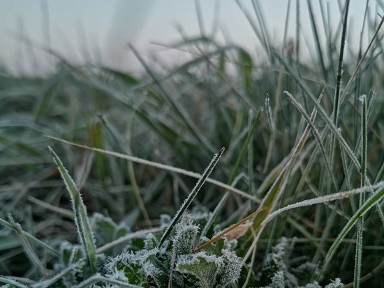 В Ростовской области на этой неделе ожидается похолодание
