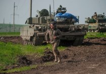 Украинская армия, дислоцирующаяся на купянском направлении, стала массово вырубать леса и лесополосы для продажи, сообщил офицер Народной милиции ЛНР Андрей Марочко