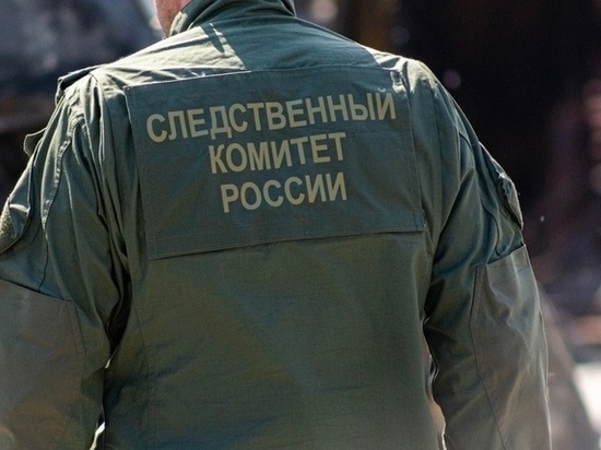 В Новосибирске следователи разыскивают очевидцев похищения водителя такси
