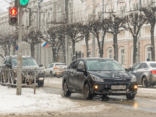 Рязанская область заняла 48 место в рейтинге регионов по доступности авто