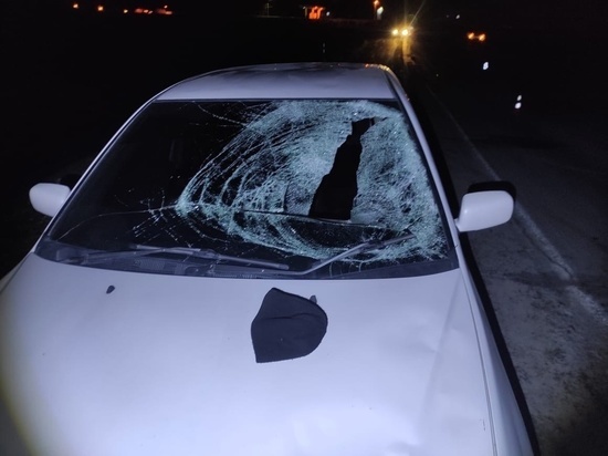 На трассе «Оренбург-Орск» 24-летний водитель сбил мужчину