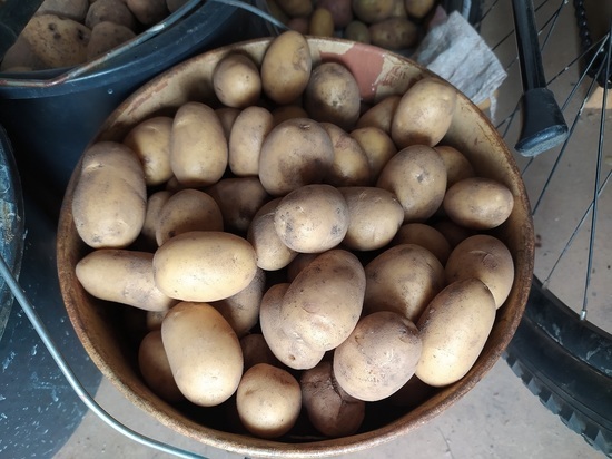 В Венгрии вводят лимиты на продукты: «Литр молока, килограмм картошки»