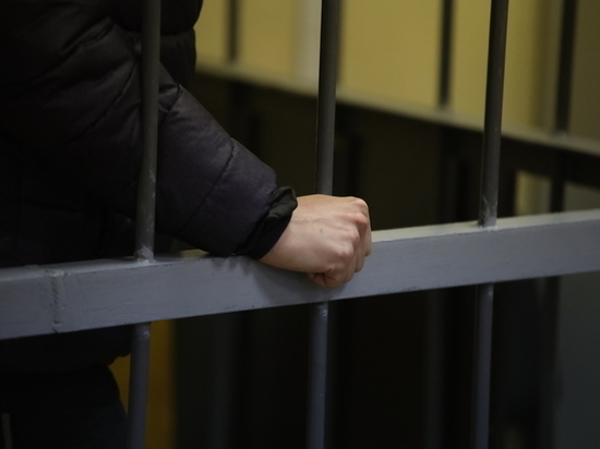 Петербургский суд рассмотрел апелляцию по делу о сожженном чучеле в камуфляже