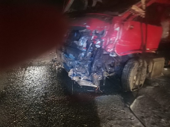 Курганская семья погибла в ДТП с грузовиком