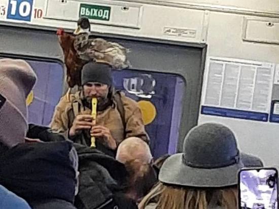 Музыканта с уткой на голове заметили в подмосковной электричке