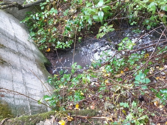 Минприроды выявили факт сброса сточных вод в ручей и Тверцу под Тверью