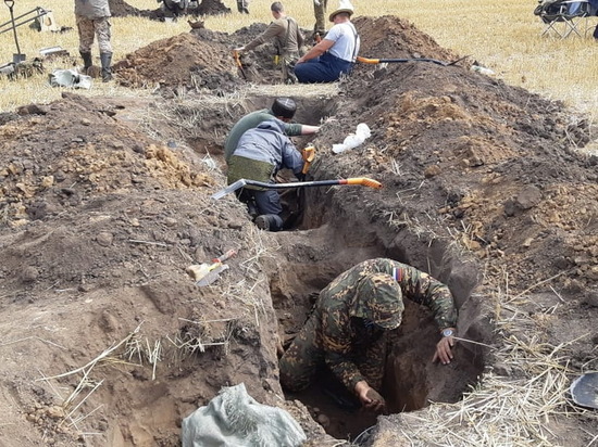 В Курской области в рамках «Вахты Памяти» нашли останки 401 солдата и 128 мирных жителей