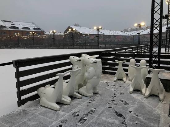В ночь на 20 декабря в Петербурге пройдет снег, а на дорогах образуется гололедица