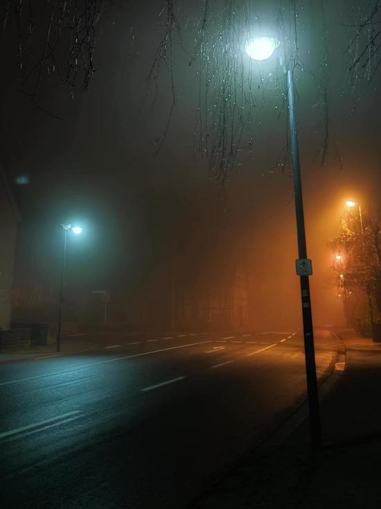 Трассу Апатиты – Тик-Губа дополнят необходимым освещением до конца декабря