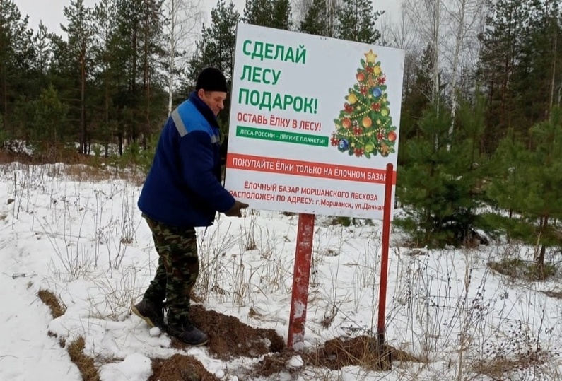 Купить Дом В Тамбове В Лесу