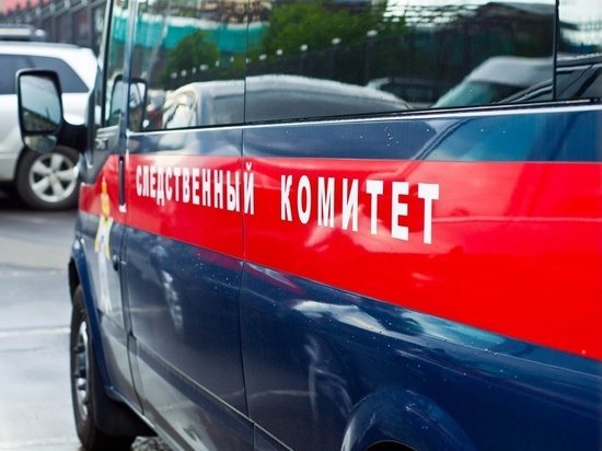 Владимирца водителя манипулятора, засыпавшего ребенка ломом, ждет суд