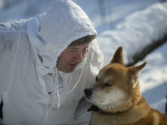 Якутская собака привела спасателей к хозяину и спасла ему жизнь