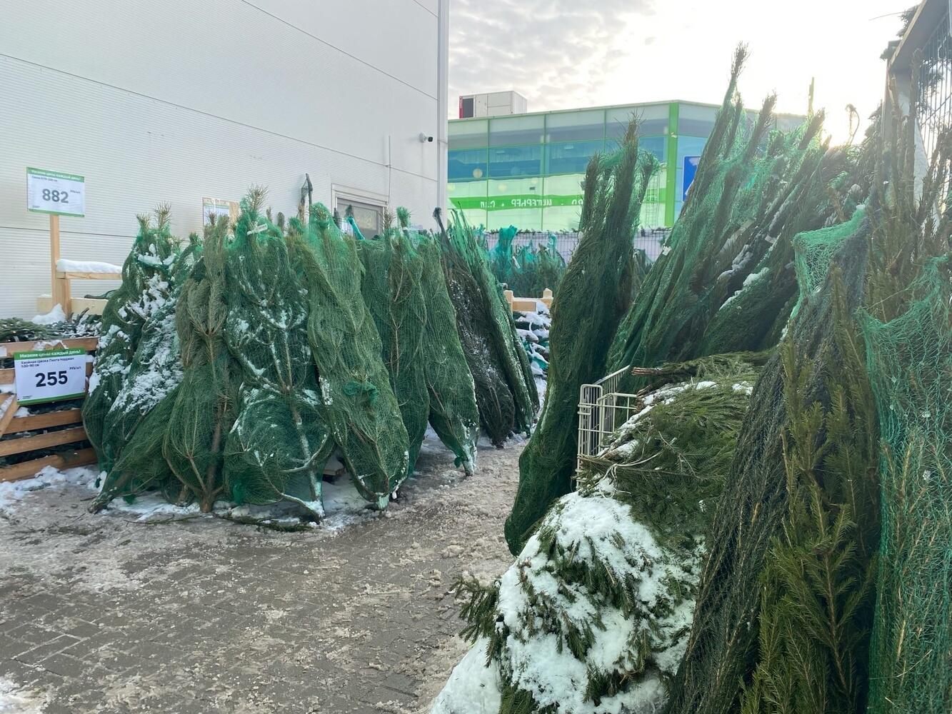 Елочные Базары В Торговых Центрах