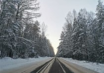 По данным синоптиков Центра ФОБОС, на территории Тульской области снегопад начинает немного отступать
