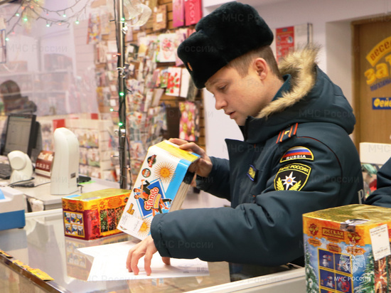 В Тамбове сотрудники МЧС начали проверять пиротехнические магазины