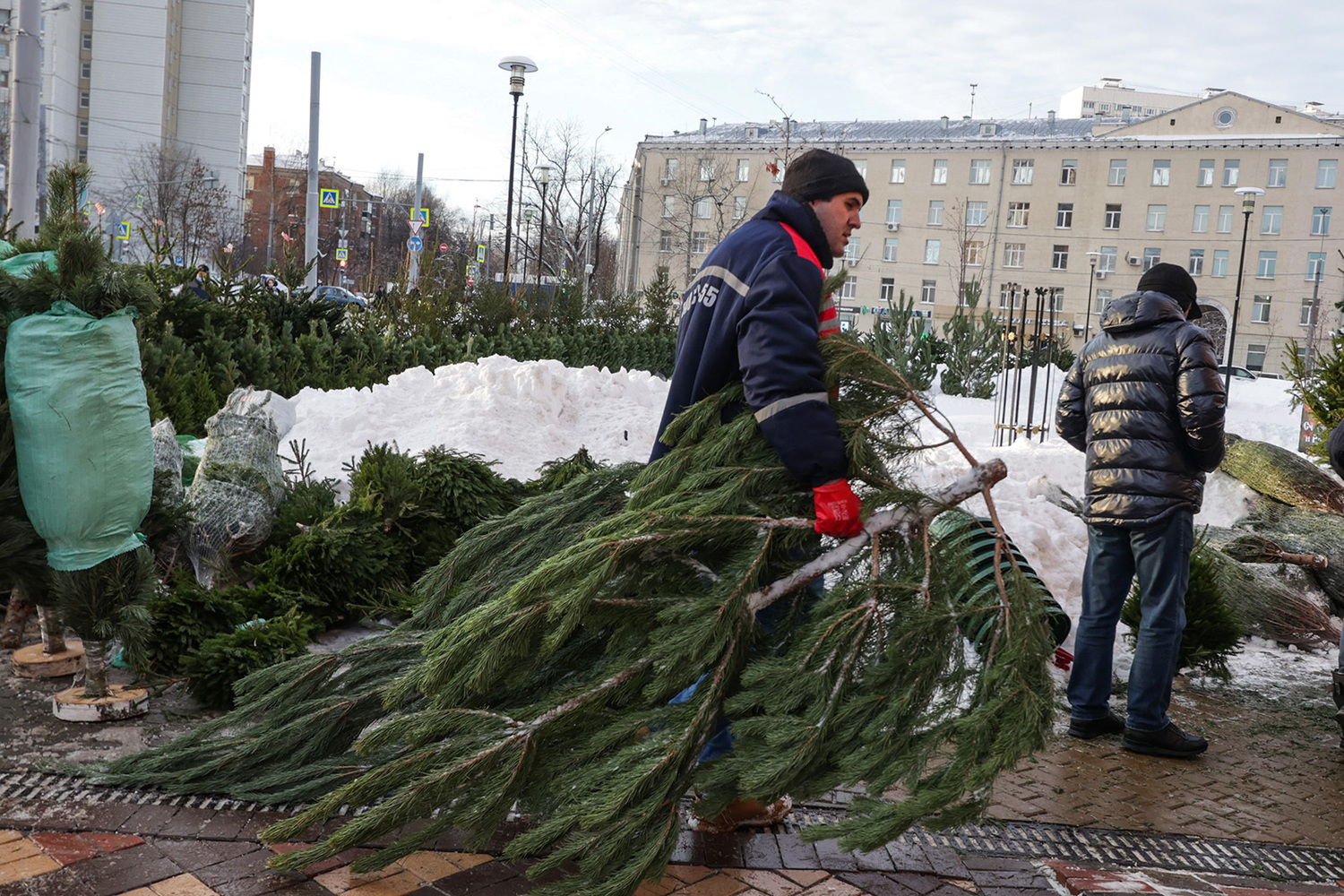 Christmas tree markets opened in Moscow: a visual aid for buyers