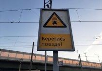На новогодние праздники пригородные поезда Петербурга изменят расписание движения. Об этом сообщила пресс-служба АО «СЗППК».